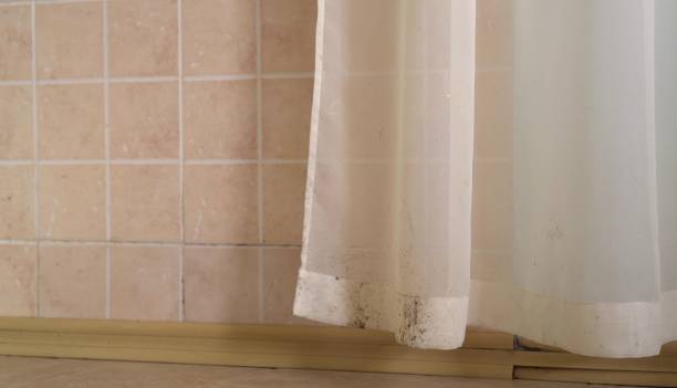 Best Mold Documentation for Insurance Claims  in Cochituate, MA