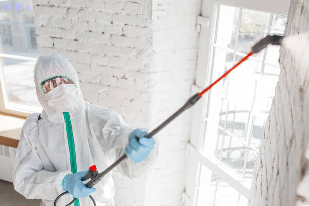 Environmental Consulting for Mold Prevention in Cochituate, MA