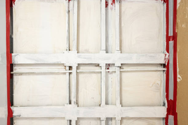 Best Forensic Mold Investigation  in Cochituate, MA