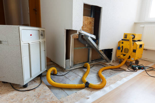 Mold Documentation for Insurance Claims in Cochituate, MA